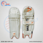 DS Sports 1.0 Batting Pads DS Sports