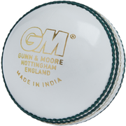 GM Maestro Cricket Ball - main