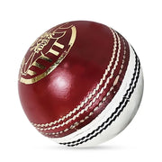 DS Practice Red/White Cricket Ball