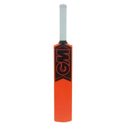 GM Opener Moulded Cricket Bat