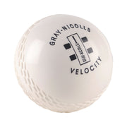 Gray Nicolls Velocity Ball - detail
