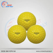 Paceman Reg Hard Ball Bucket (48 Ball)