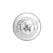 Cricket Ball Hard Plastic (Practice Ball)
