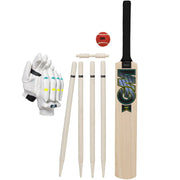 Gunn and Moore Aion Cricket Set - Cricket shop italy