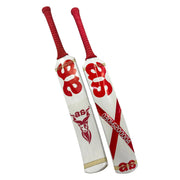 AA Rawalakot Bat - back