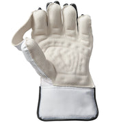 Gunn & Moore Aion Wicketkeeping Gloves - Cricket shop italy