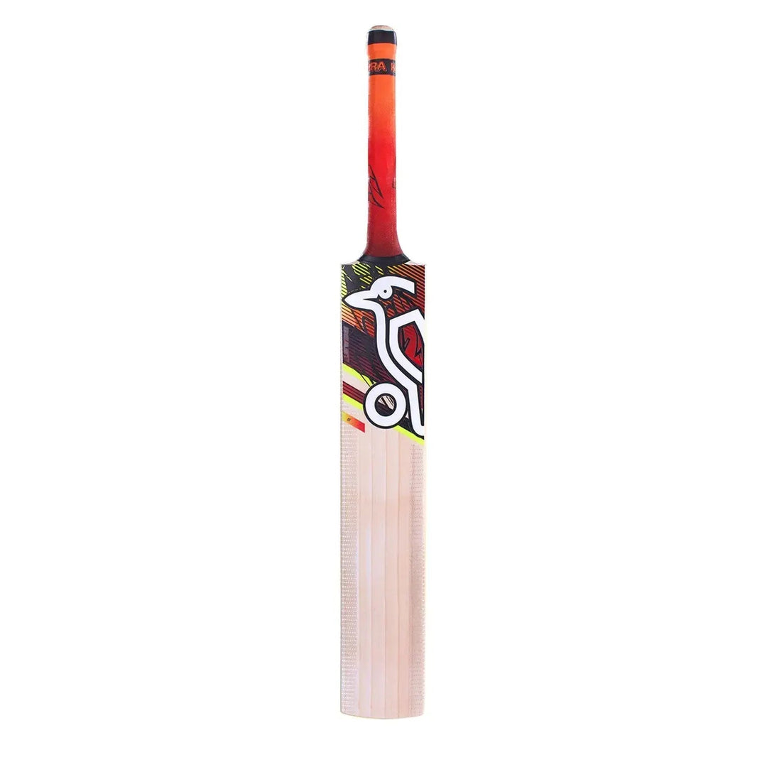 Kookaburra Beast 9.1 Kashmir willow Junior Cricket Bat Kookaburra