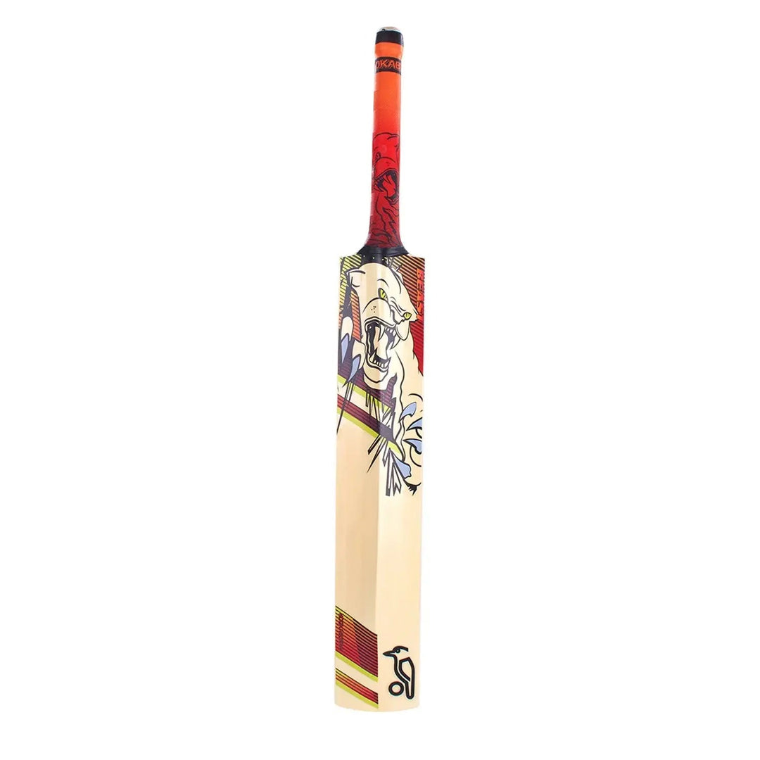 Kookaburra Beast 9.1 Kashmir willow Junior Cricket Bat Kookaburra