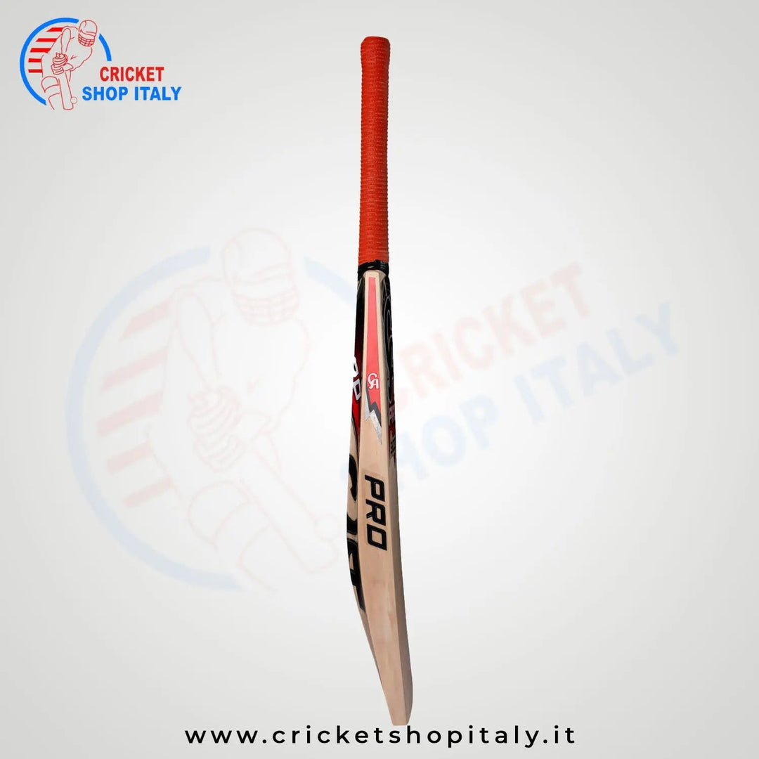 CA Pro 3000 Cricket Bat