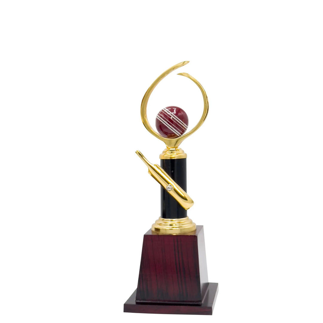 Pro Cricket Trophy -272 - Cricket shop italy