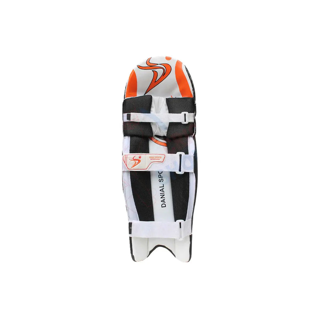 DS Black Cricket Pads & Gloves Set DS Sports