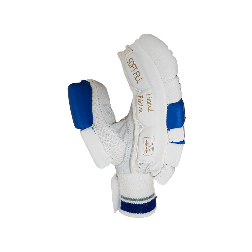 DS D 1.0 Batting Gloves Youth (Silver/Blue)
