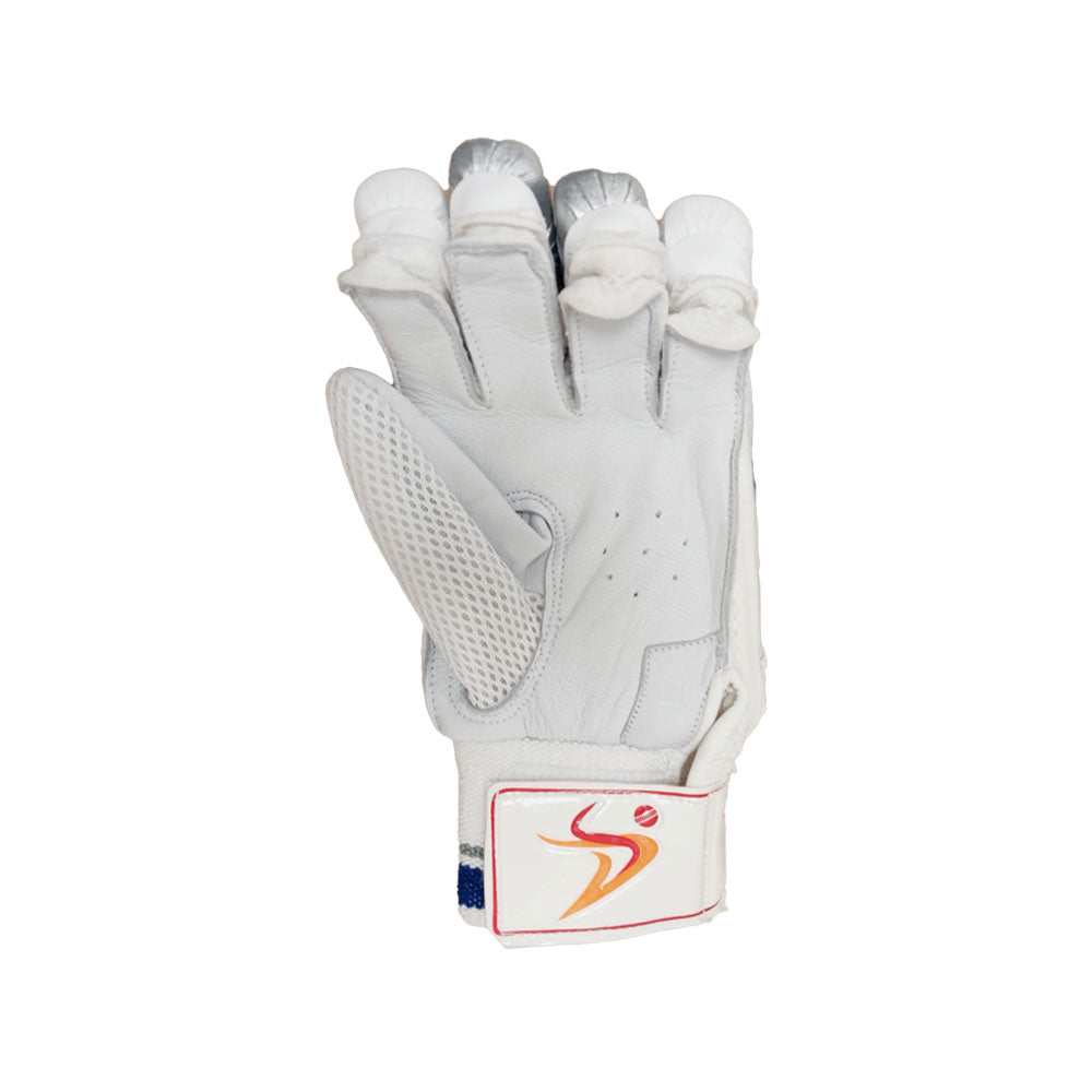DS D 1.0 Batting Gloves Youth (Silver/Blue)