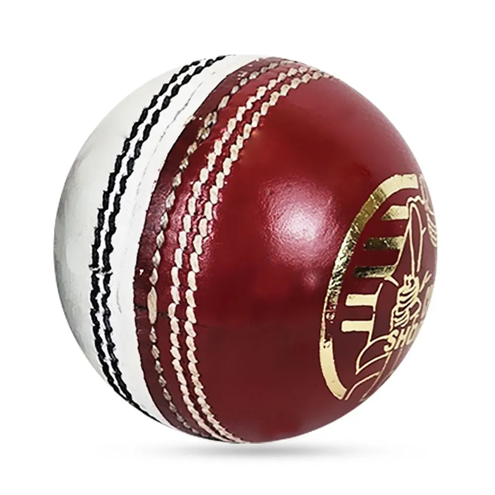 DS Practice Red/White Cricket Ball