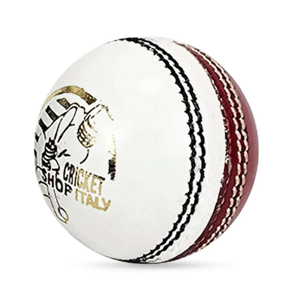 DS Practice Red/White Cricket Ball