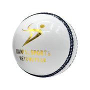 DS 40 Over Cricket Ball 12 Balls