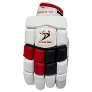 DS 1.1 L.E Batting Gloves Black/Red