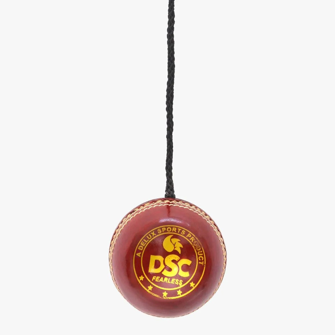 DSC Hanging Leather Ball - seam