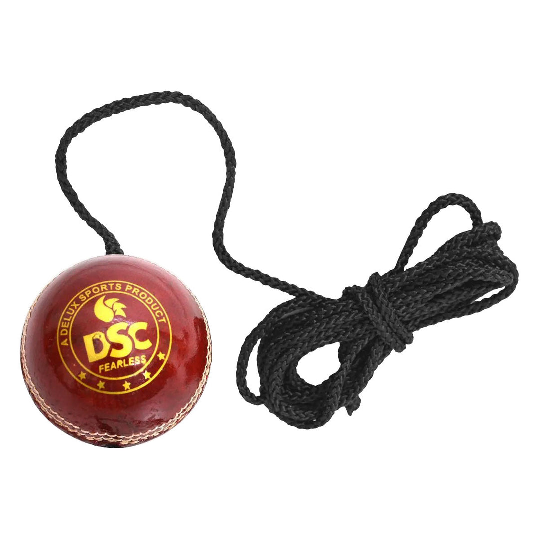 DSC Hanging Leather Ball