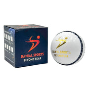 DS 40 Over Cricket Ball 6 Balls Pack