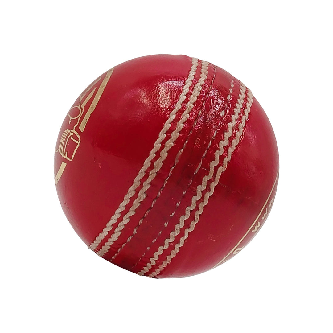 DS D1 Alum Leather Cricket Ball