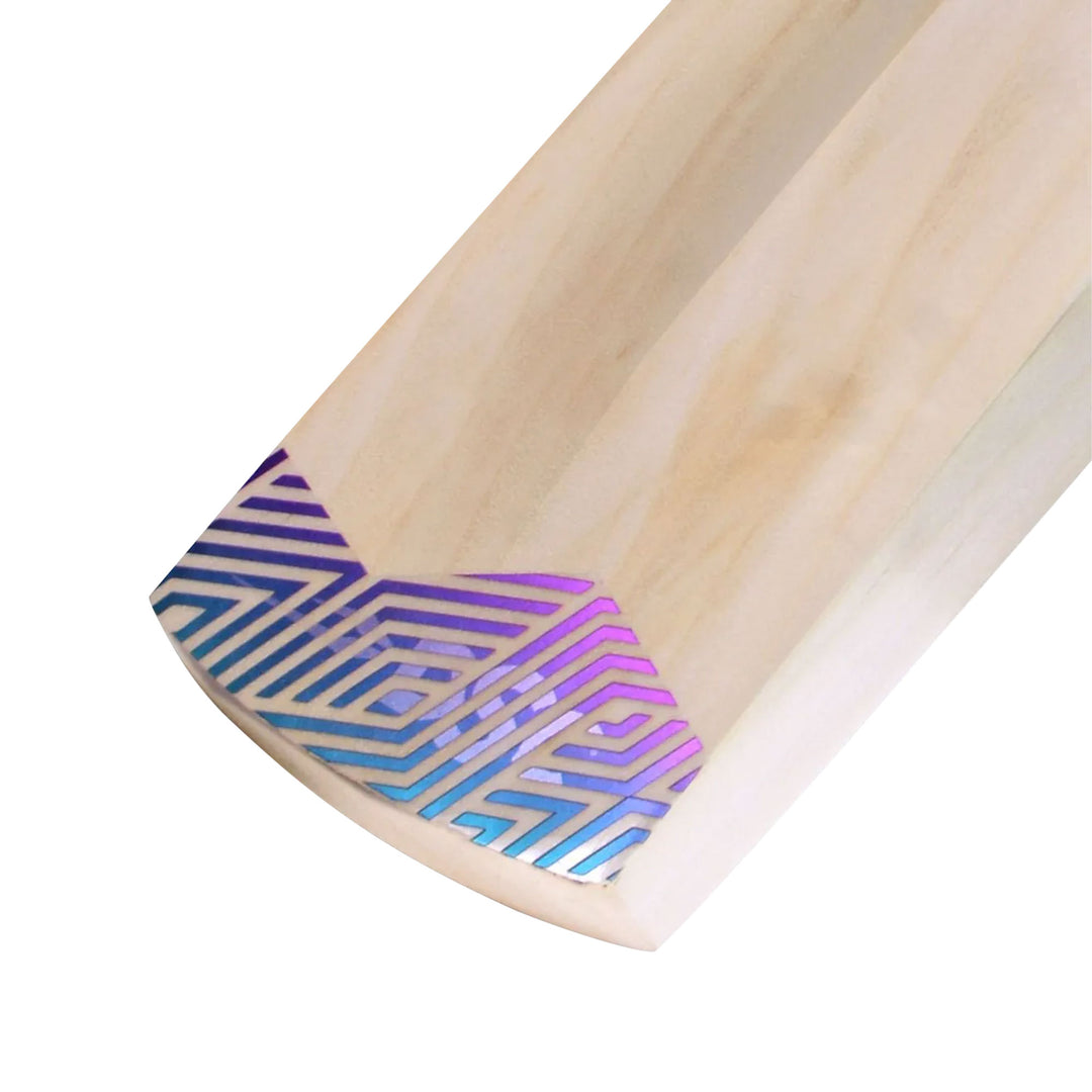 Dsc RS Exclusive Kashmir Willow Cricket Bat
