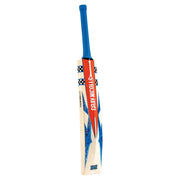 Gray Nicolls Havoc GN350 - back