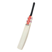 Gray Nicolls Scoop 5 Star Kashmiri Willow Bat