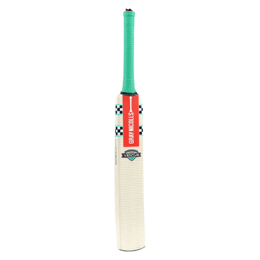 Gray Nicolls VENTUS 1.0 WARRIOR Kashmir Willow Cricket Bat Gray Nicolls