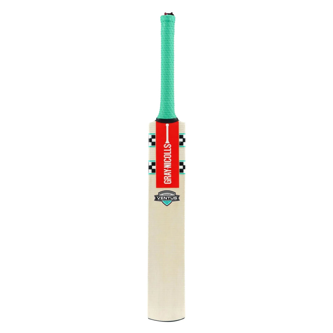 Gray Nicolls VENTUS 1.0 WARRIOR Kashmir Willow Cricket Bat Gray Nicolls