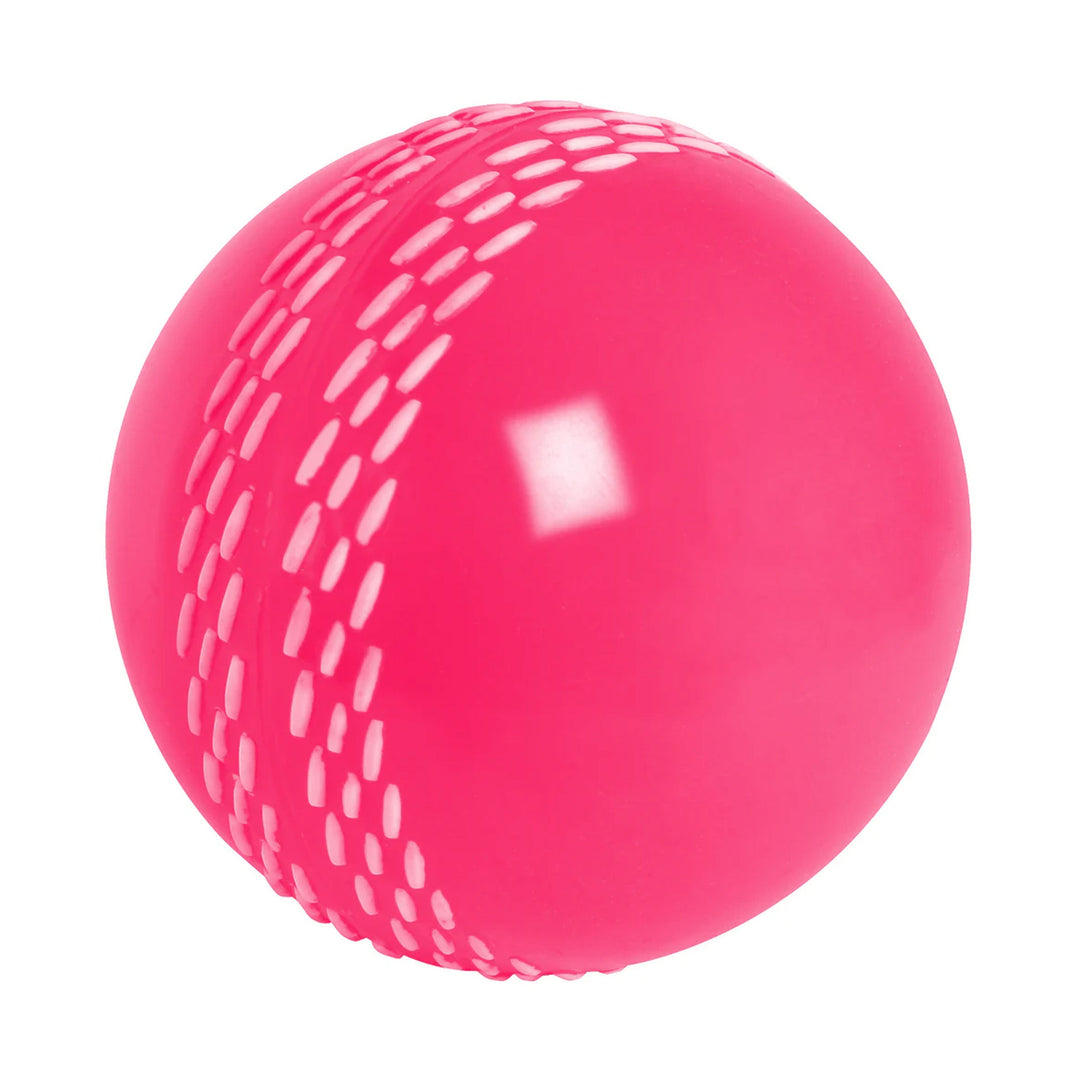 Gray Nicolls Velocity Ball - white