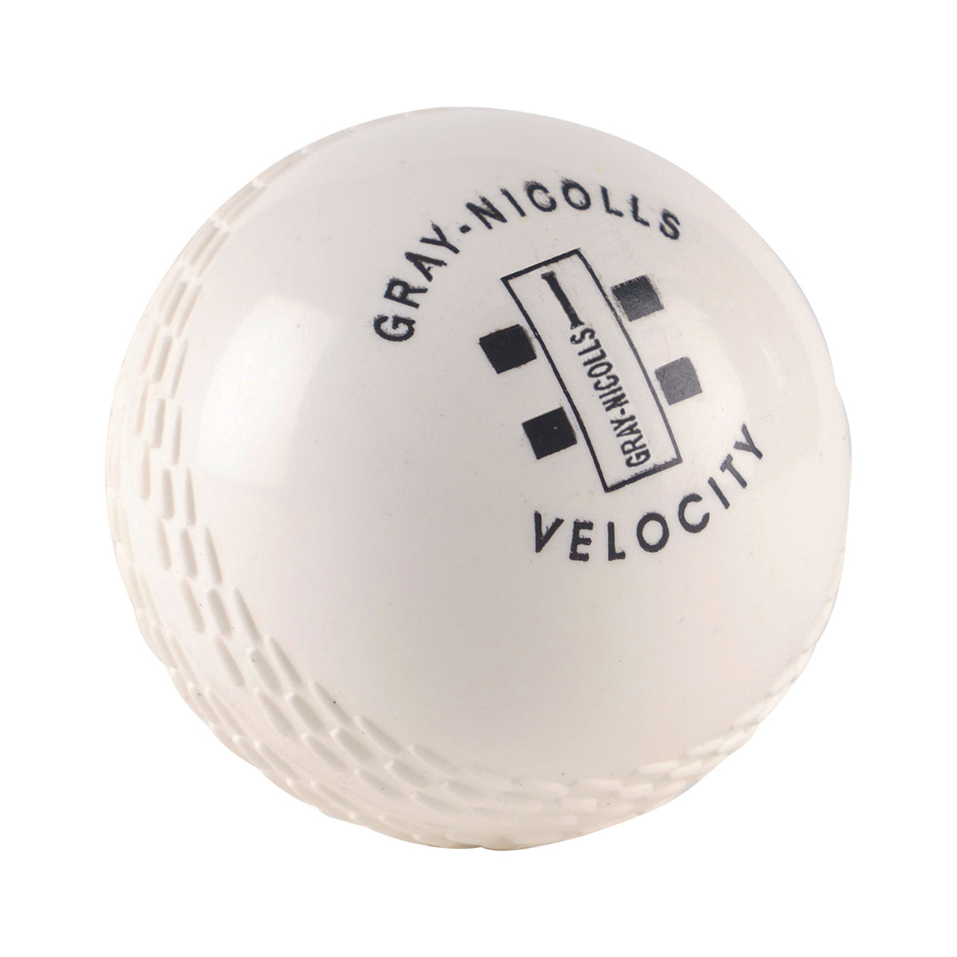 Gray Nicolls Velocity Ball - detail