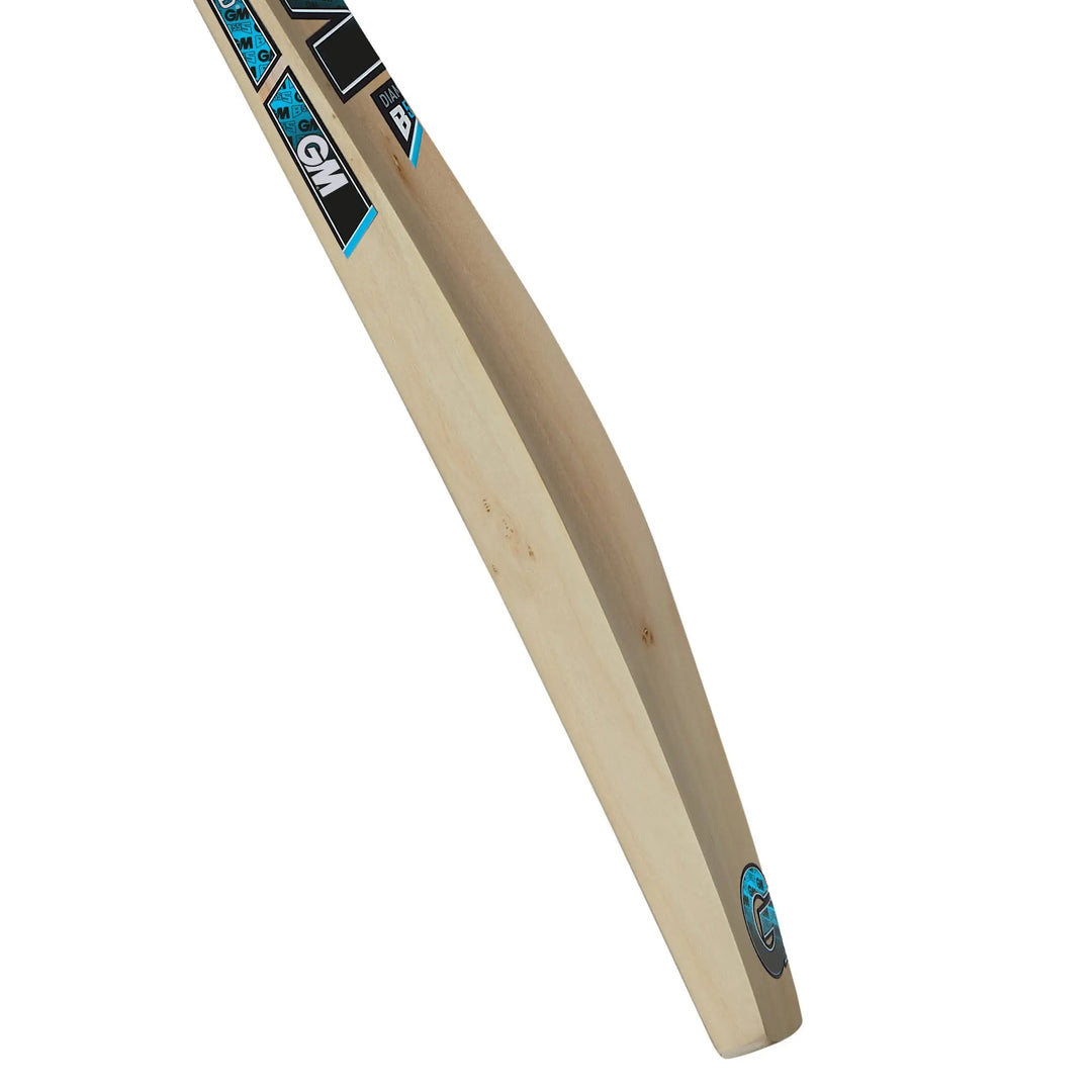 Gunn & Moore Diamond 101  Kashmir Willow Bat - Cricket shop italy