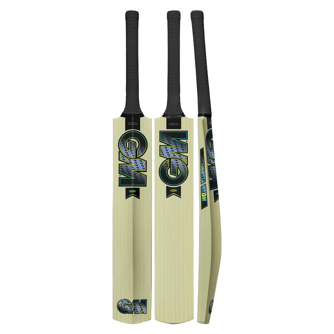 Gunn and Moore Aion Kashmir Willow Bat - Cricket shop italy