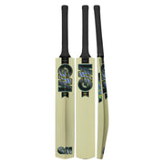 Gunn and Moore Aion Kashmir Willow Bat - Cricket shop italy