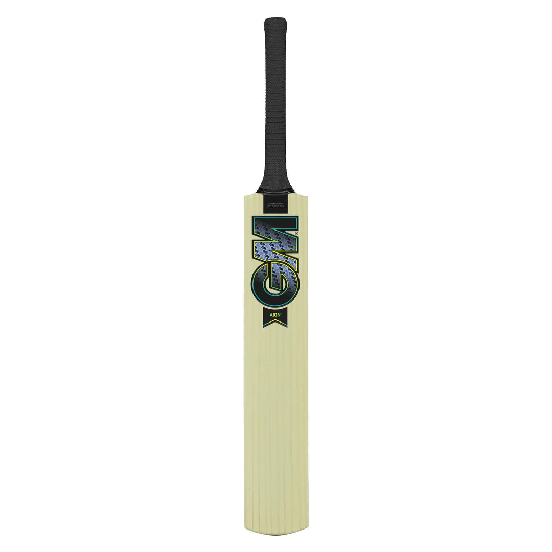 Gunn and Moore Aion Kashmir Willow Bat - Cricket shop italy