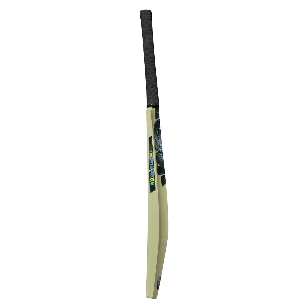 Gunn and Moore Aion Kashmir Willow Bat - Cricket shop italy