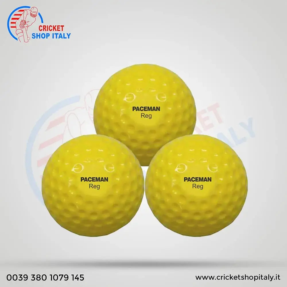 Paceman Reg Hard Ball Bucket (48 Ball)