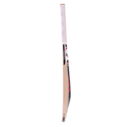 SG KLR Plus Kashmir Willow Cricket Bat