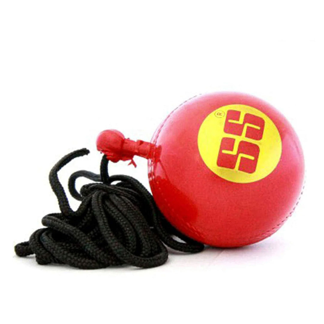 SS Cricket Ball Hanging