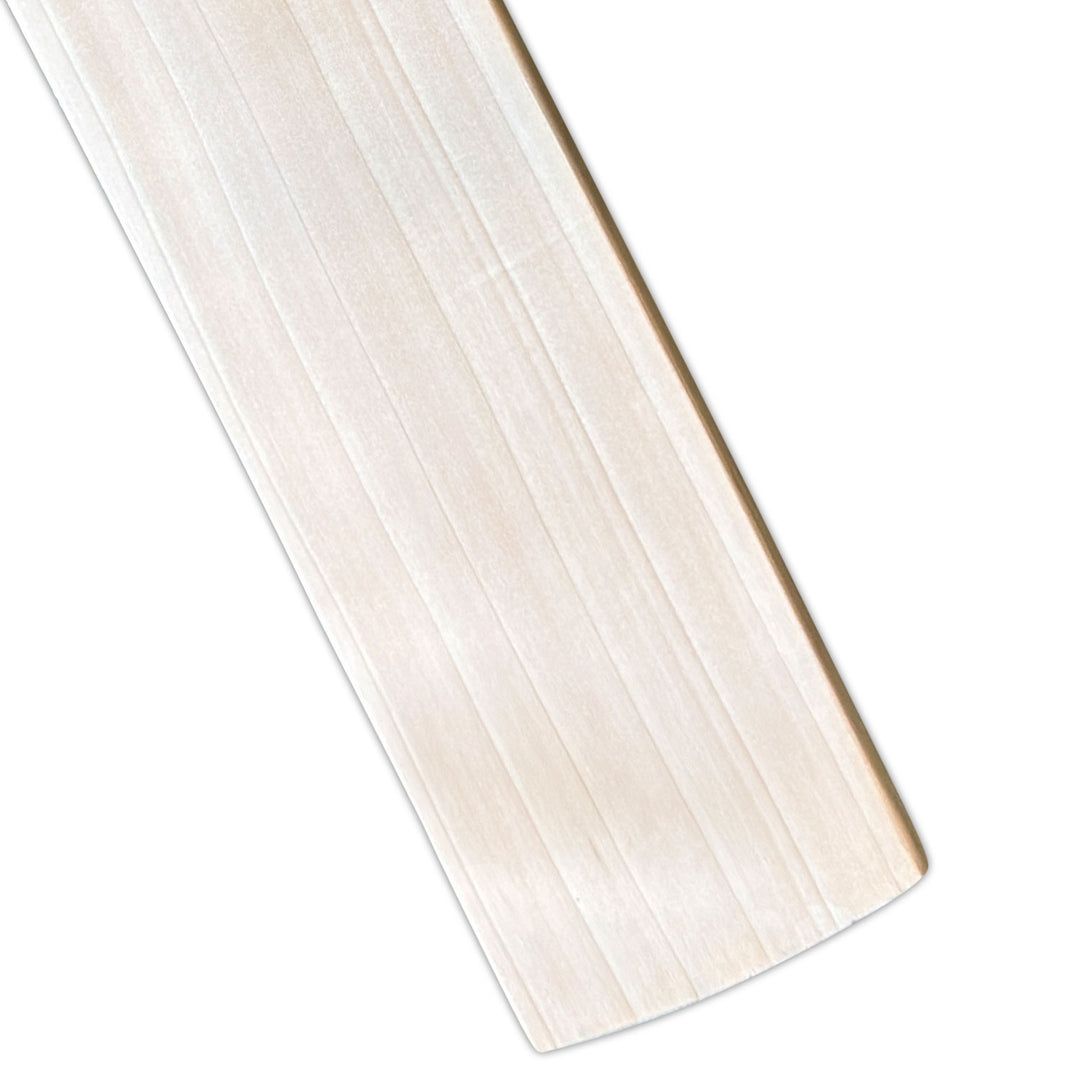 SS Devils Green English Willow Cricket Bat