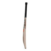 SS Magnum Kashmir Willow Cricket Bat SS