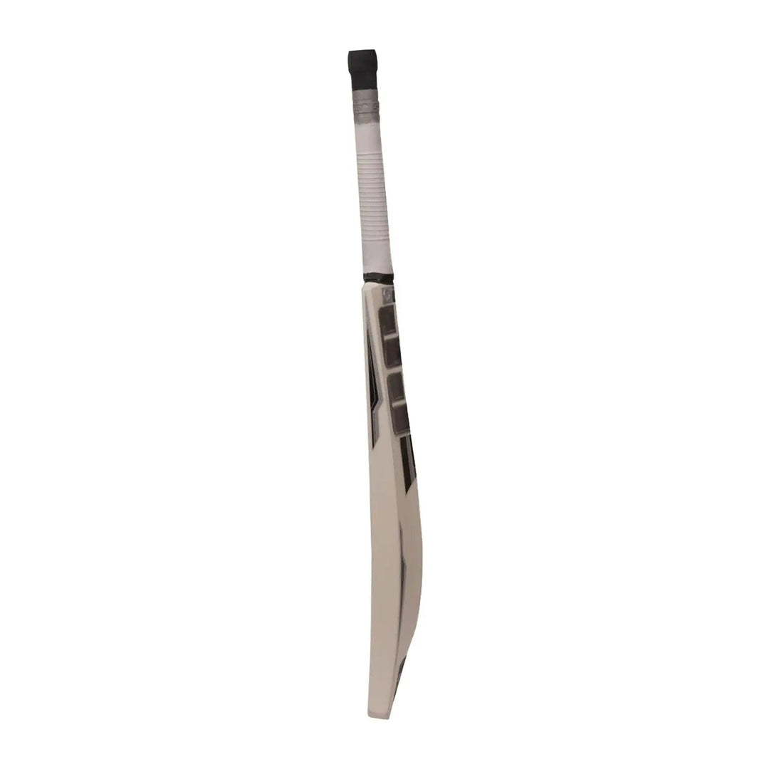 SS Power Kashmir Willow Cricket Bat SS