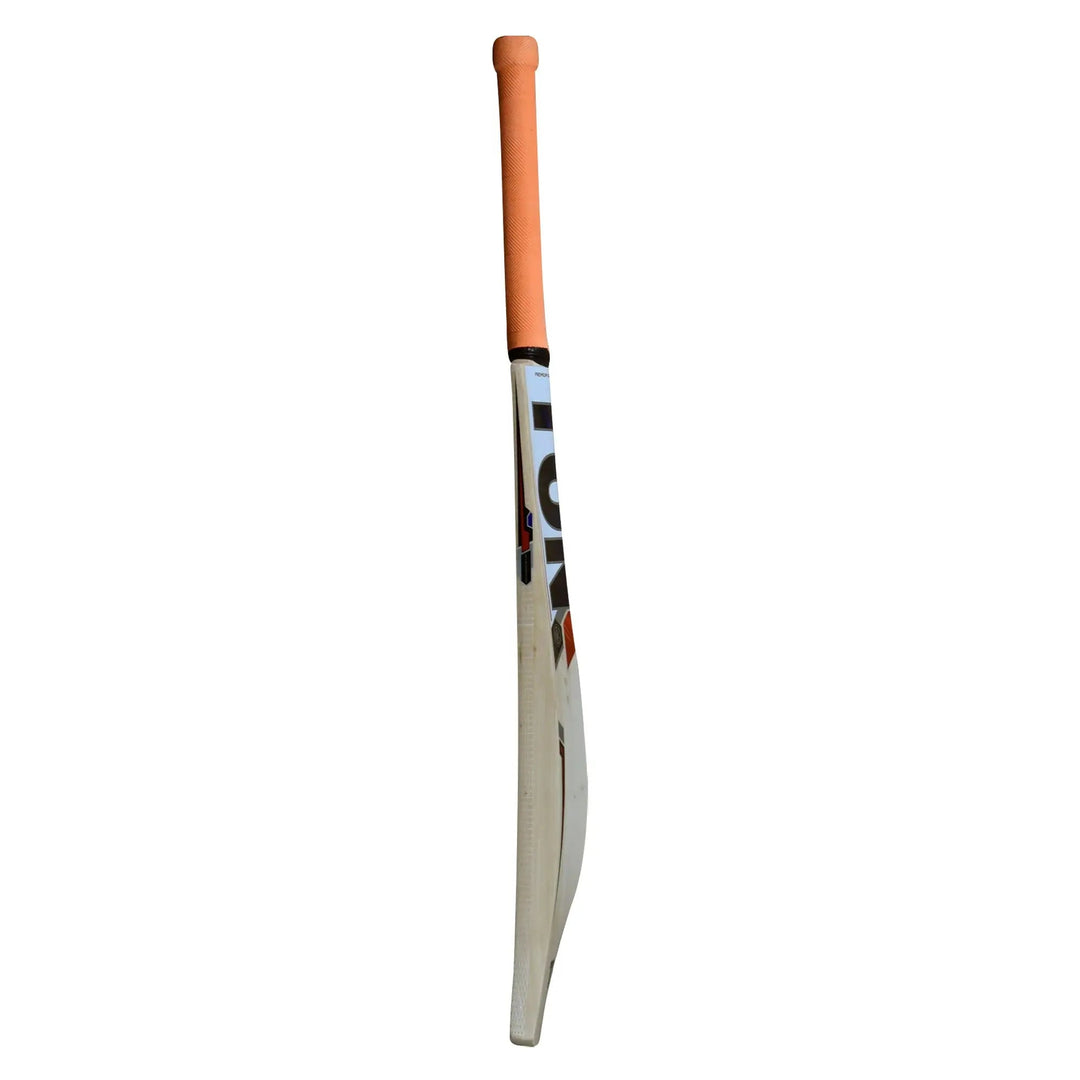 SS TON Thala Kashmir Willow Cricket Bat SS