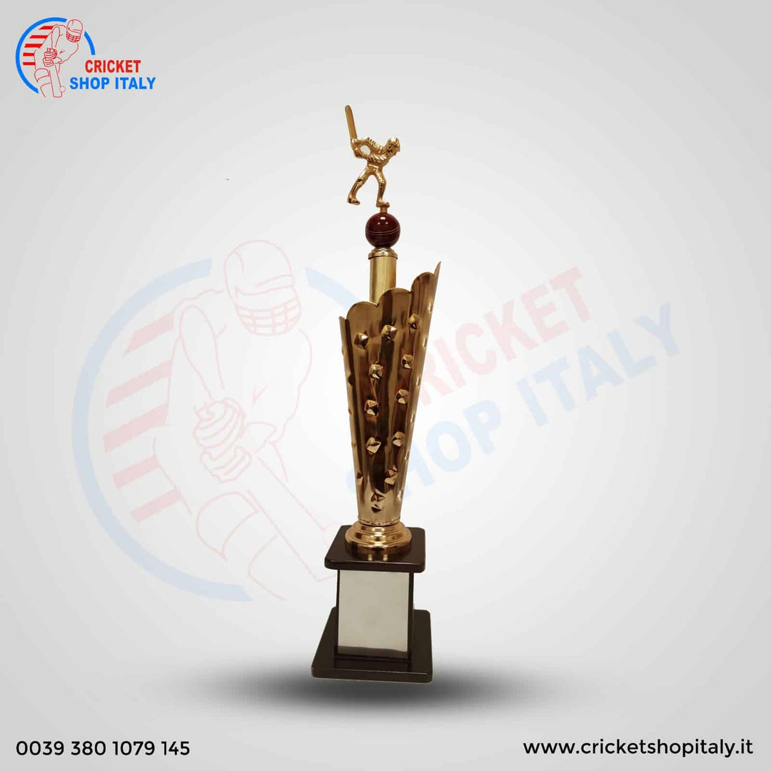 Icon Cricket Winner Trophy