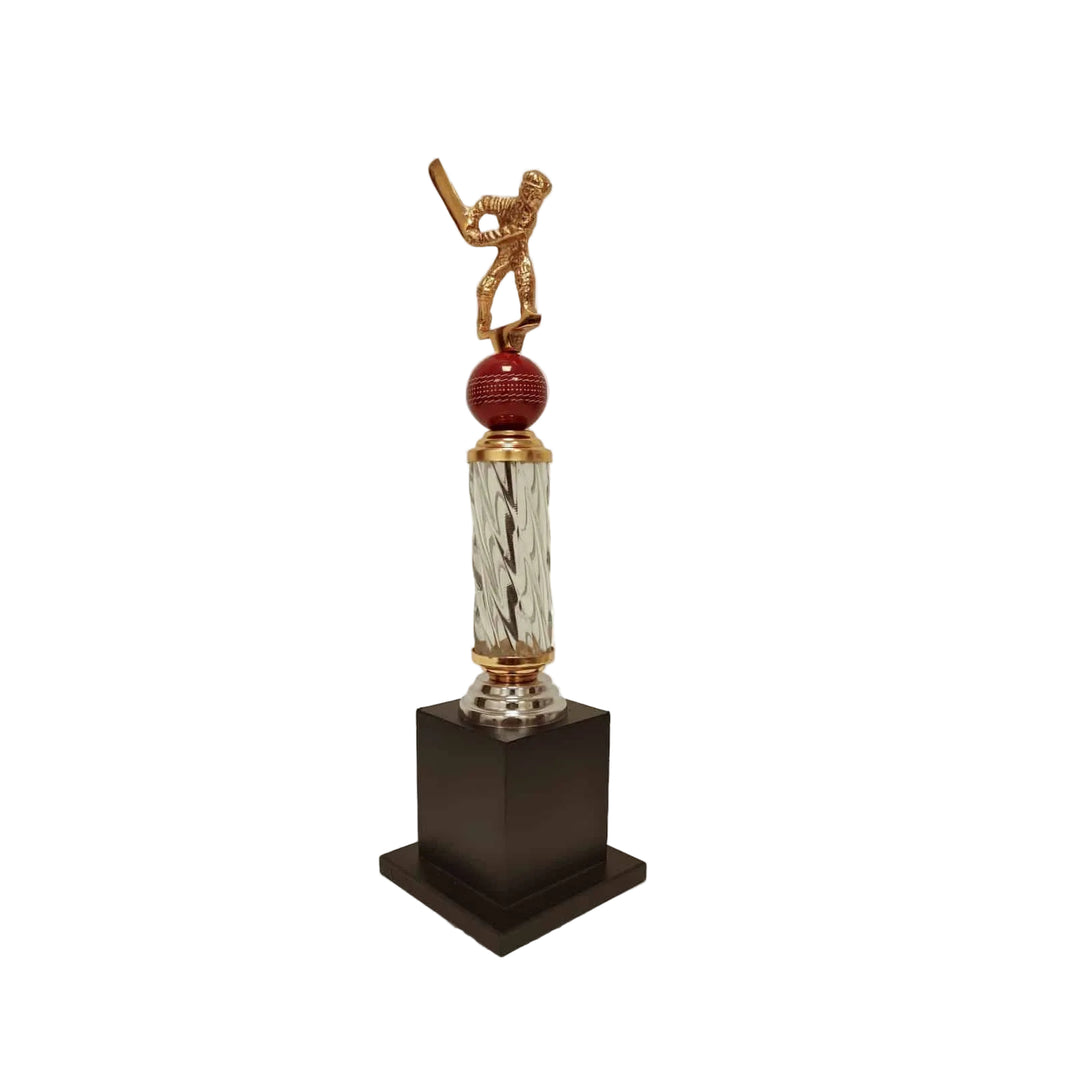 2023 Cricket Batsman Trophy 2