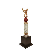 2023 Cricket Batsman Trophy 2