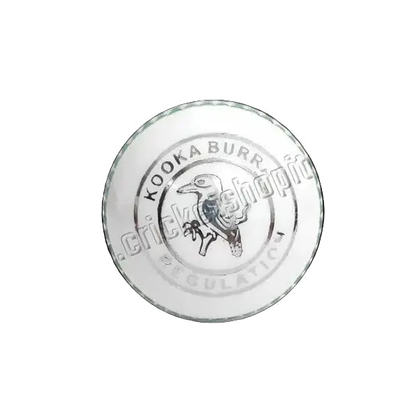 Cricket Ball Hard Plastic (Practice Ball)