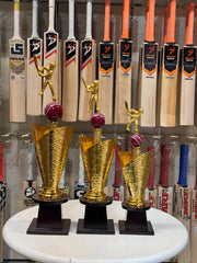All-Rounder Cricket Trophy Cricket shop italy