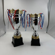 Prestige Victory Cricket Trophy - detail view
